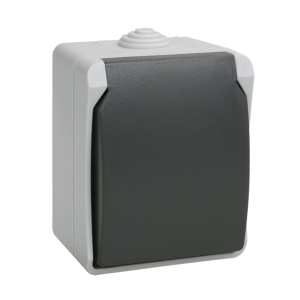 Розетка 1-м ОП серая 16 А, с з/к, с крышкой, з/ш, IP54 IEK Форс РСб20-3-ФСр