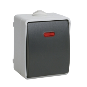 Выключатель 1-кл. ОП серый 10 А, с подсв., IP54 IEK Форс ВС20-1-1-ФСр