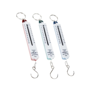 Безмен 10 кг пластмассовый корпус